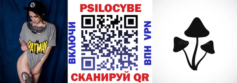 Галлюциногенные грибы Psilocybe  Исилькуль 