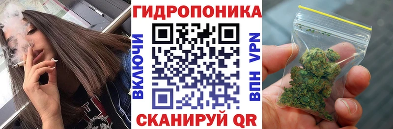 Канабис MAZAR  где найти наркотики  Исилькуль 
